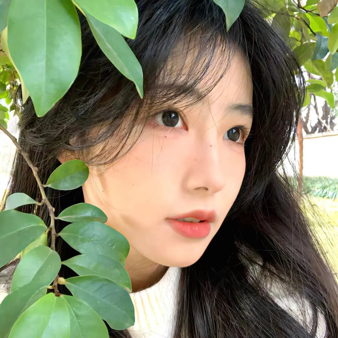 总裁他命里缺我